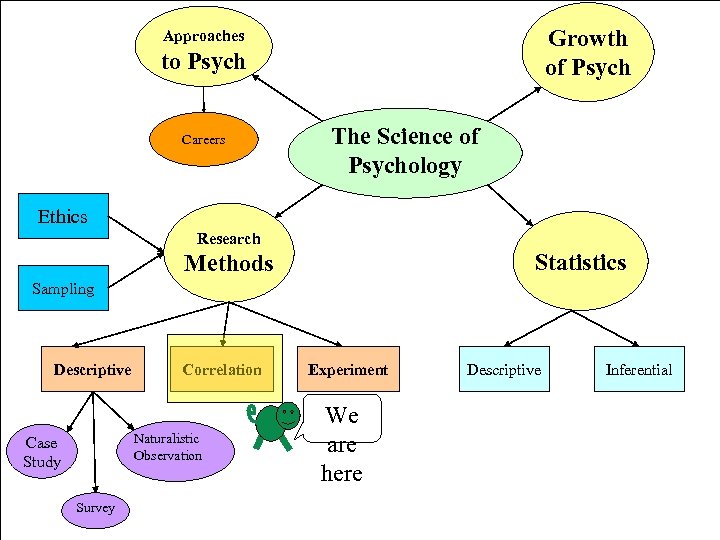 Growth of Psych Approaches to Psych Careers The Science of Psychology Ethics Research Statistics