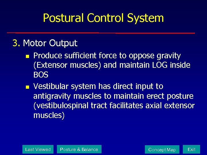 Postural Control System 3. Motor Output n n Produce sufficient force to oppose gravity