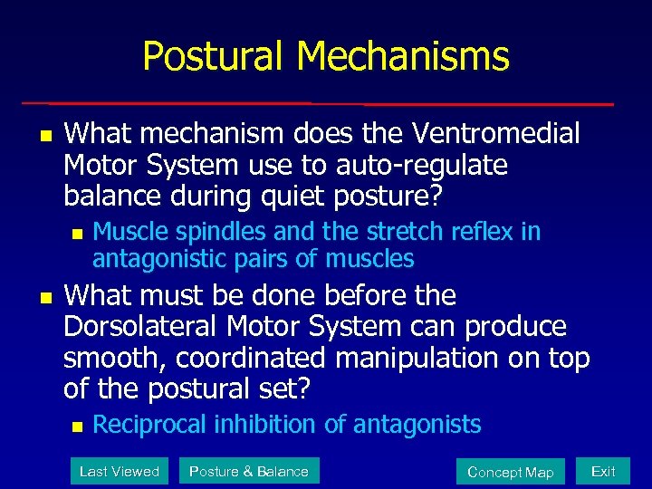 Postural Mechanisms n What mechanism does the Ventromedial Motor System use to auto-regulate balance