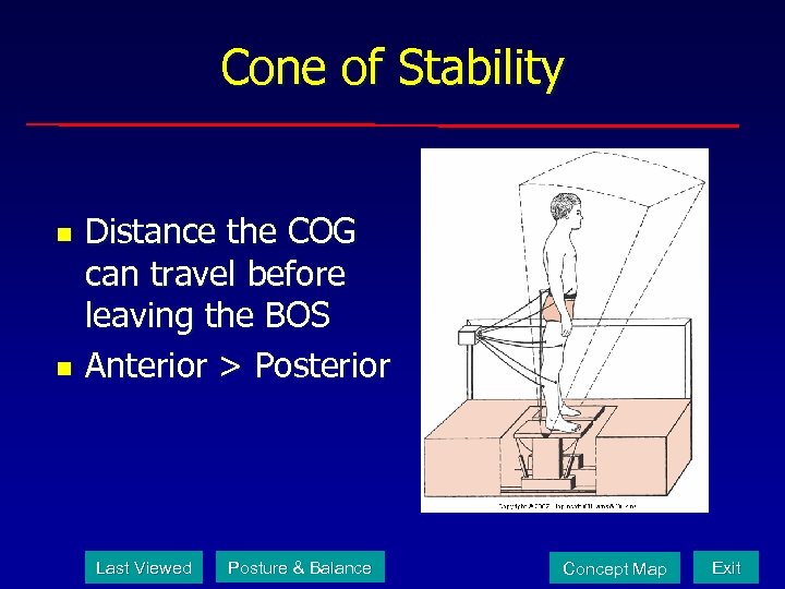 Cone of Stability n n Distance the COG can travel before leaving the BOS