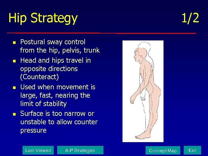 Hip Strategy n n 1/2 Postural sway control from the hip, pelvis, trunk Head