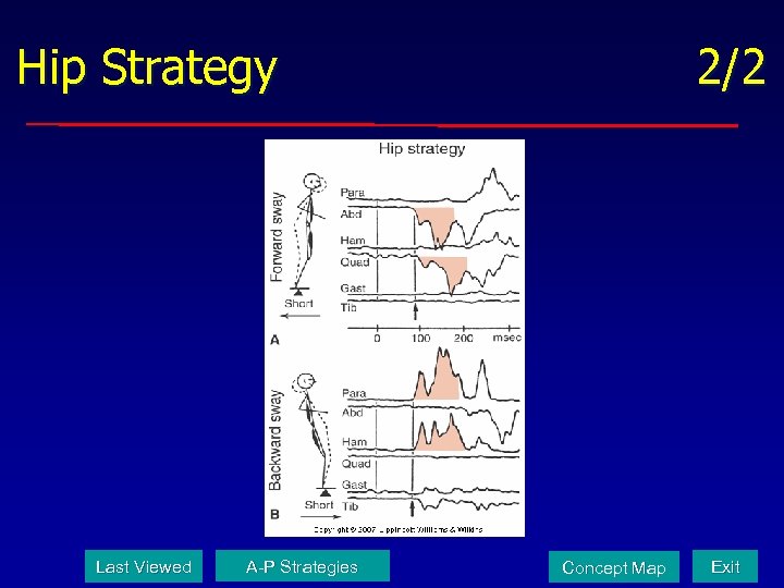 Hip Strategy Last Viewed A-P Strategies 2/2 Concept Map Exit 