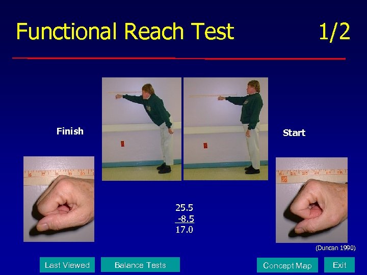 Functional Reach Test Finish 1/2 Start 25. 5 -8. 5 17. 0 (Duncan 1990)