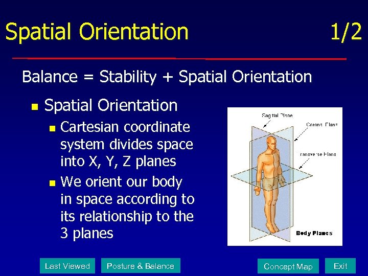 Spatial Orientation 1/2 Balance = Stability + Spatial Orientation n Spatial Orientation Cartesian coordinate