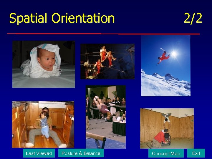 Spatial Orientation Last Viewed Posture & Balance 2/2 Concept Map Exit 