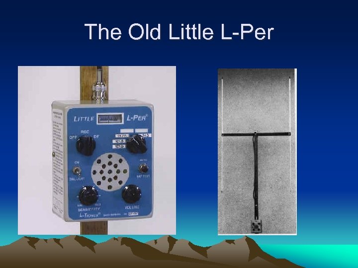 The Old Little L-Per 