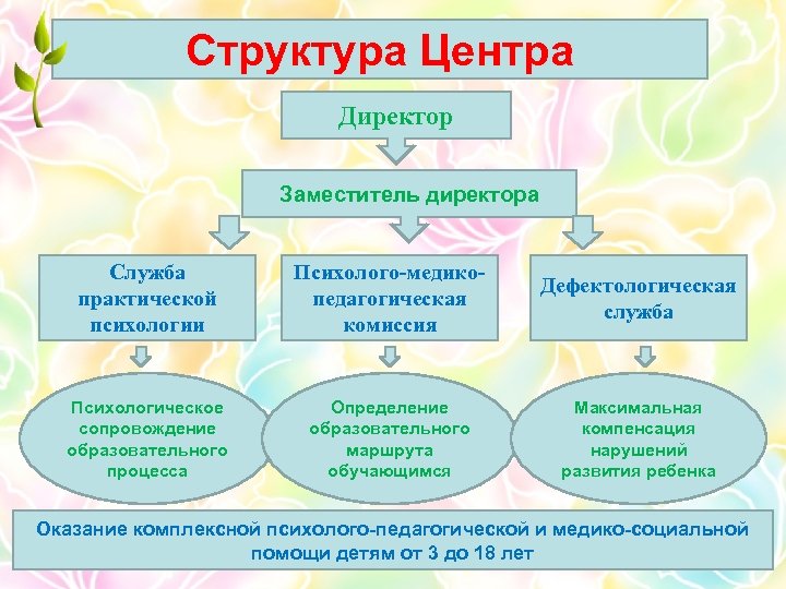 Структура Центра Директор Заместитель директора Служба практической психологии Психолого-медикопедагогическая комиссия Дефектологическая служба Психологическое сопровождение