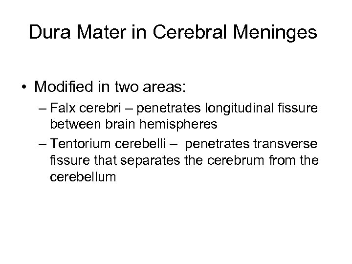 Dura Mater in Cerebral Meninges • Modified in two areas: – Falx cerebri –