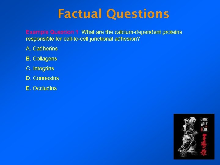 Factual Questions Example Question 1 What are the calcium-dependent proteins responsible for cell-to-cell junctional