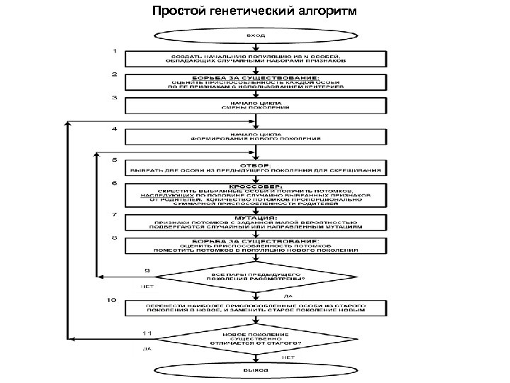 Генетический алгоритм схема