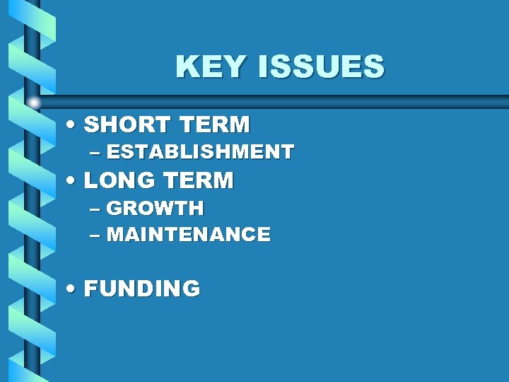 KEY ISSUES • SHORT TERM – ESTABLISHMENT • LONG TERM – GROWTH – MAINTENANCE