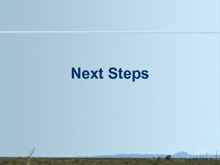 Next Steps 
