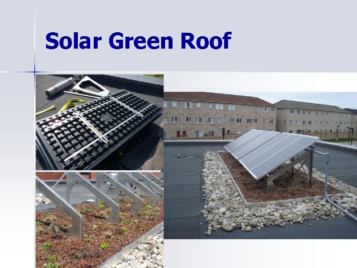 Solar Green Roof 