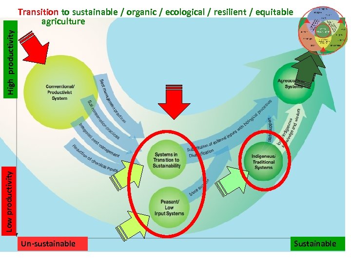 Low productivity High productivity Transition to sustainable / organic / ecological / resilient /