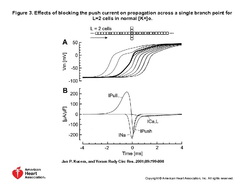 Figure 3. Effects of blocking the push current on propagation across a single branch