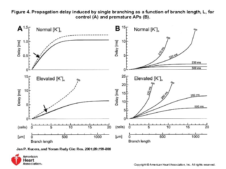 Figure 4. Propagation delay induced by single branching as a function of branch length,