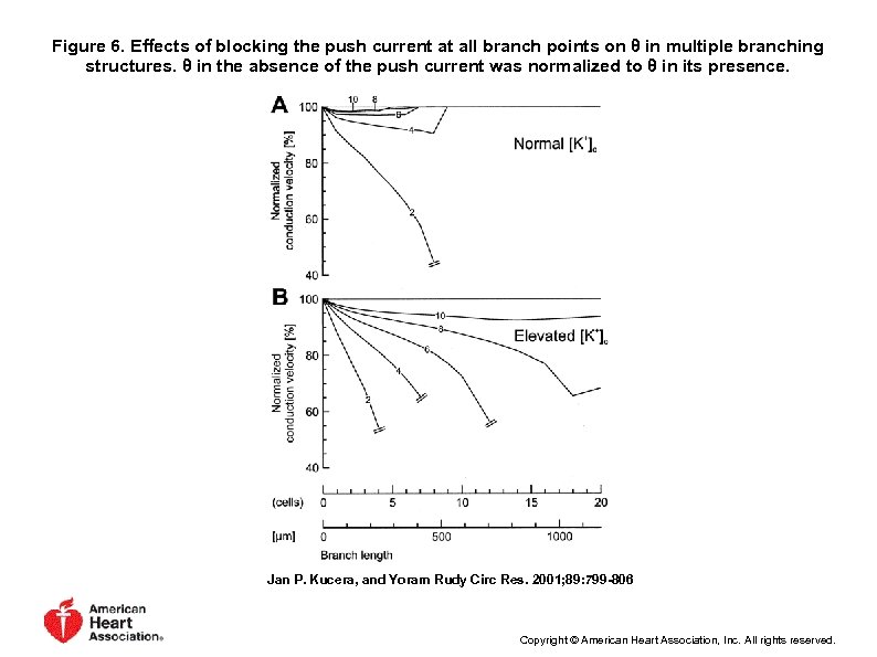 Figure 6. Effects of blocking the push current at all branch points on θ