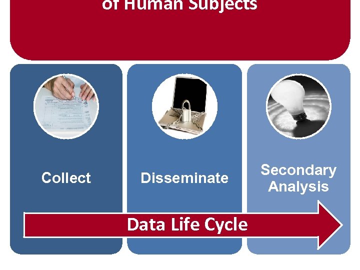 of Human Subjects Collect Disseminate Data Life Cycle Secondary Analysis 