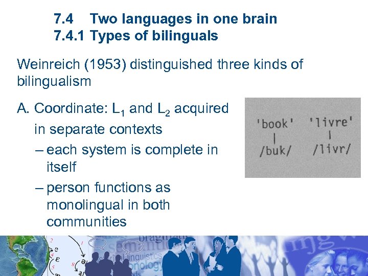7. 4 Two languages in one brain 7. 4. 1 Types of bilinguals Weinreich