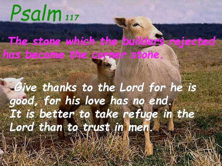 Psalm 117 The stone which the builders rejected has become the corner stone. Give