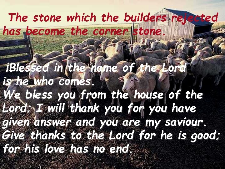 The stone which the builders rejected has become the corner stone. ¡Blessed in the
