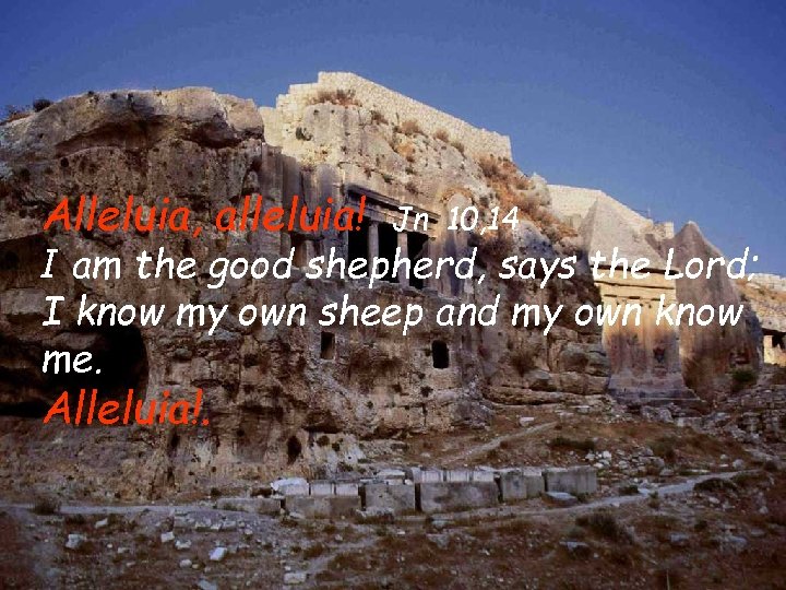  Alleluia, alleluia! Jn 10, 14 I am the good shepherd, says the Lord;