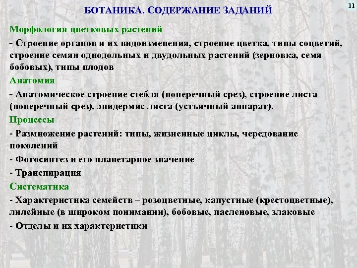 Задачи по содержанию. Задачи морфологии. Задания по морфологии. Ботаника содержание. Упражнения по морфологии.