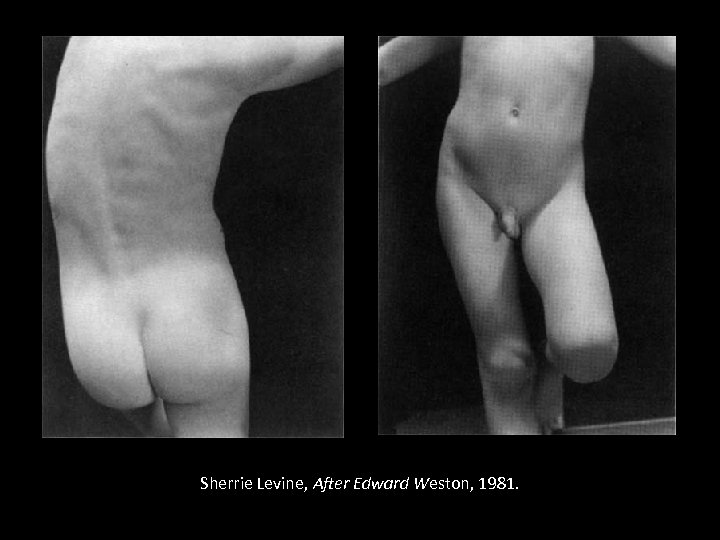 Sherrie Levine, After Edward Weston, 1981. 