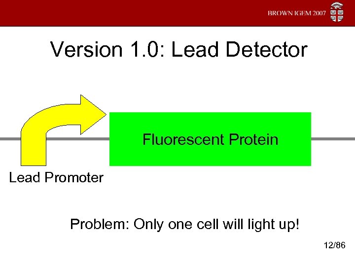 Version 1. 0: Lead Detector Fluorescent Protein Lead Promoter Problem: Only one cell will