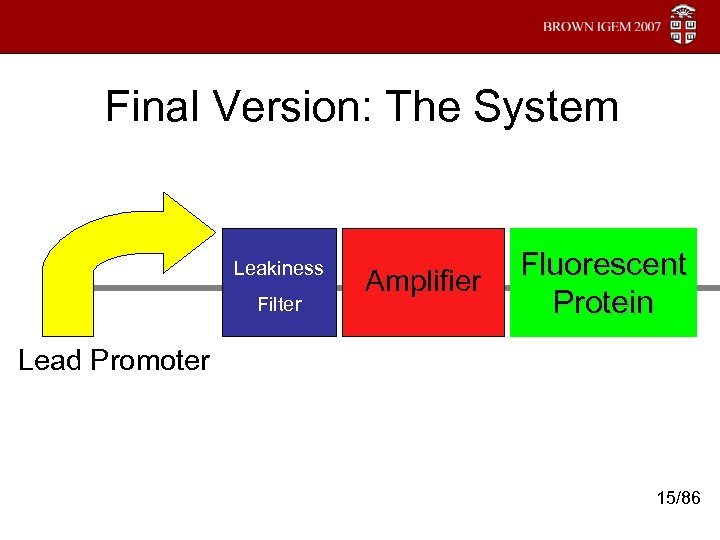 Final Version: The System Leakiness Filter Amplifier Fluorescent Protein Lead Promoter 15/86 