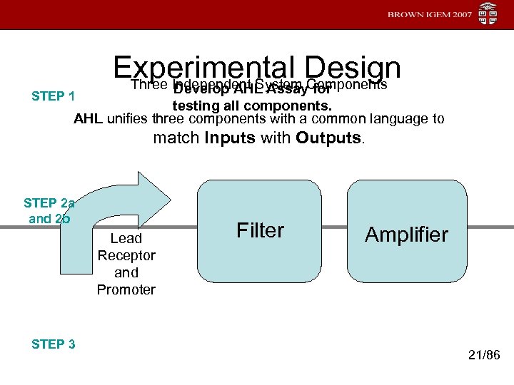 STEP 1 Experimental Design Three Independent System Components Develop AHL Assay for testing all