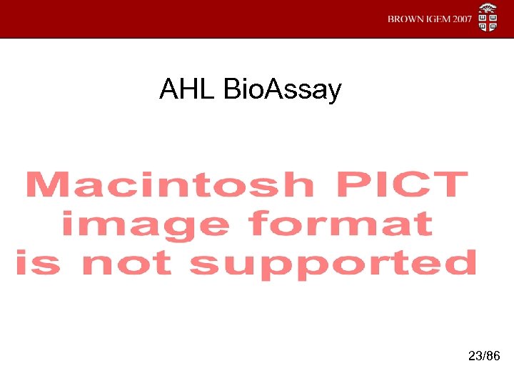 AHL Bio. Assay 23/86 