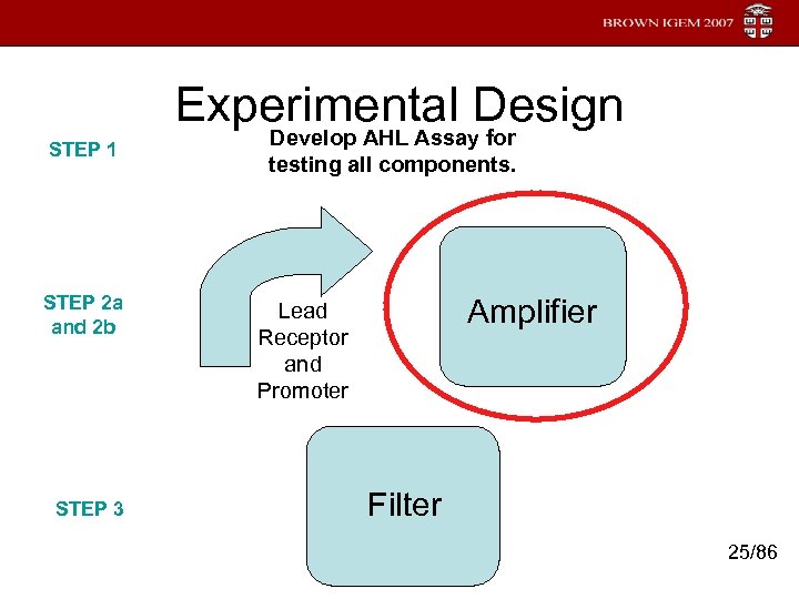 STEP 1 STEP 2 a and 2 b STEP 3 Experimental Design Develop AHL