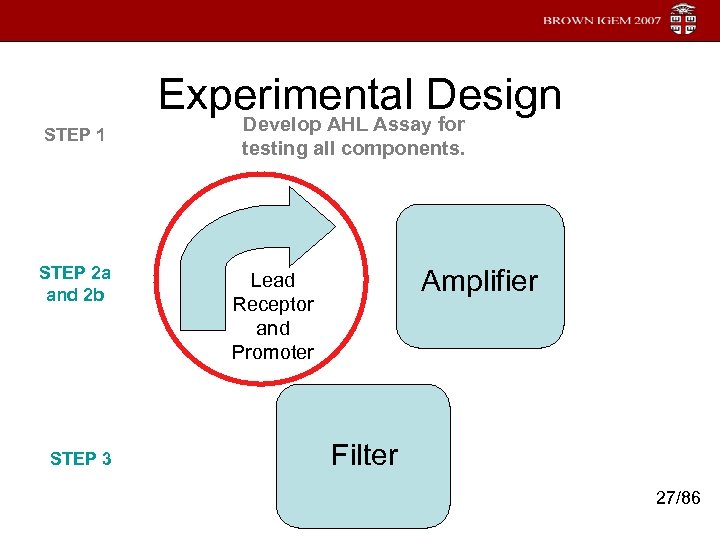 STEP 1 STEP 2 a and 2 b STEP 3 Experimental Design Develop AHL