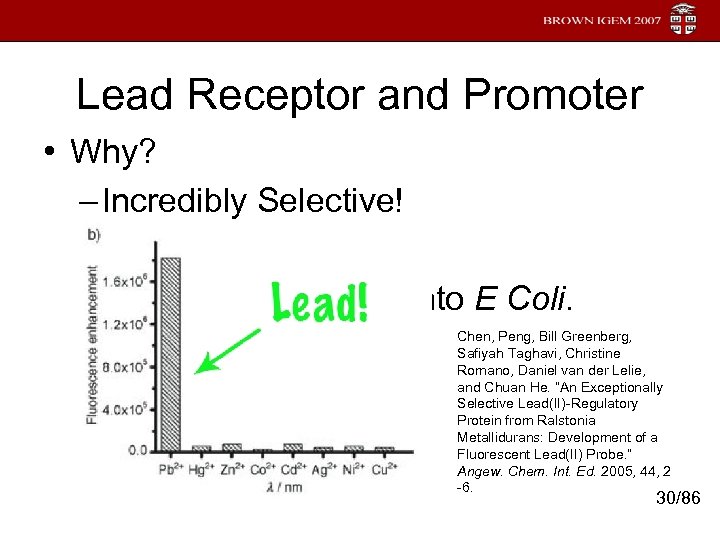 Lead Receptor and Promoter • Why? – Incredibly Selective! – Novel – Successfully cloned