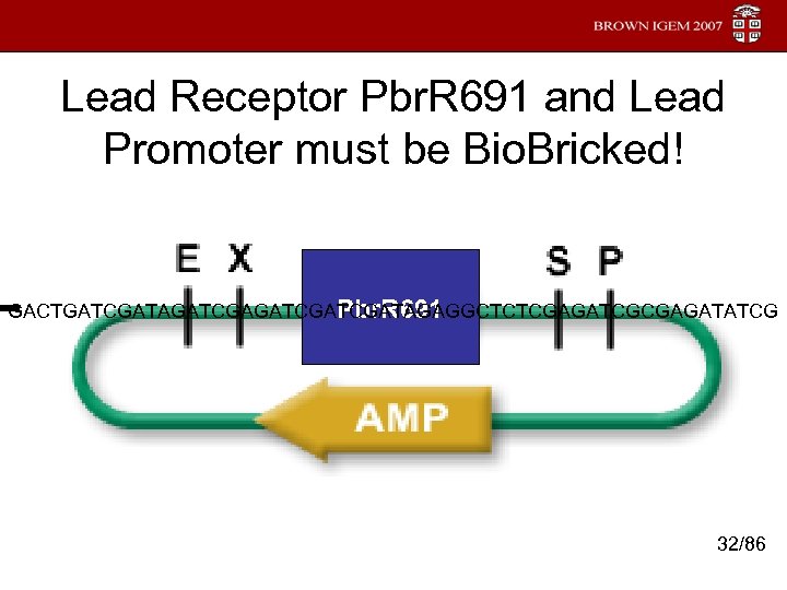 Lead Receptor Pbr. R 691 and Lead Promoter must be Bio. Bricked! Pbr. R