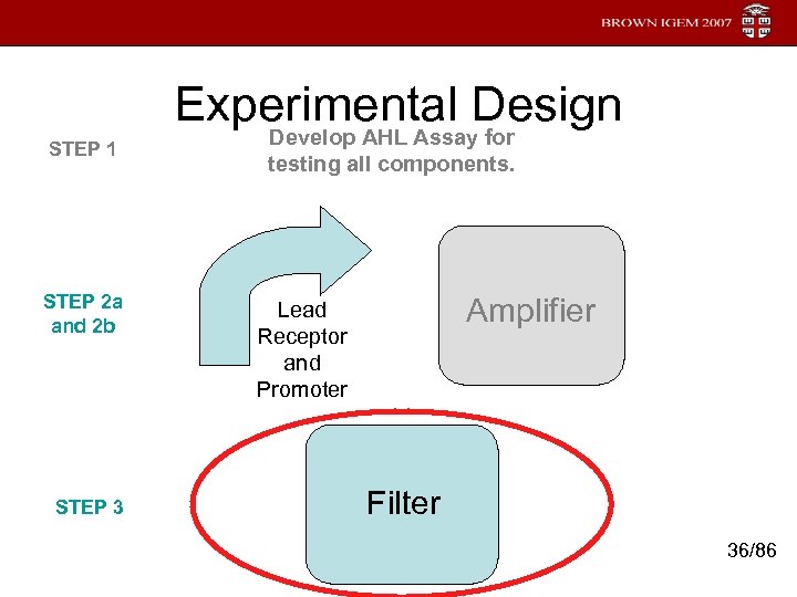 STEP 1 STEP 2 a and 2 b STEP 3 Experimental Design Develop AHL