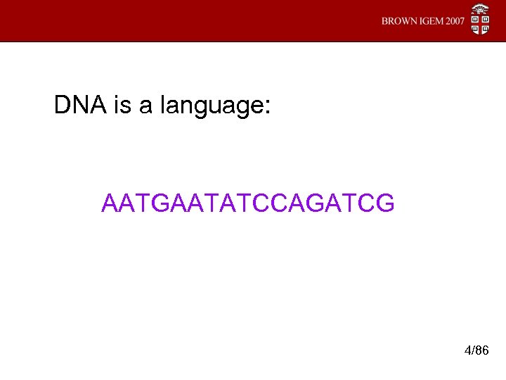 DNA is a language: AATGAATATCCAGATCG 4/86 