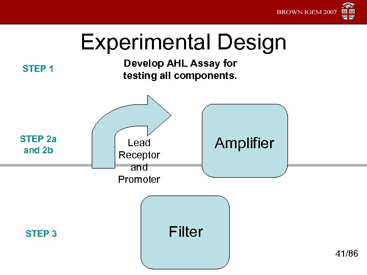 Experimental Design STEP 1 STEP 2 a and 2 b STEP 3 Develop AHL