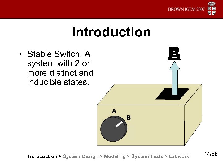Introduction • Stable Switch: A system with 2 or more distinct and inducible states.