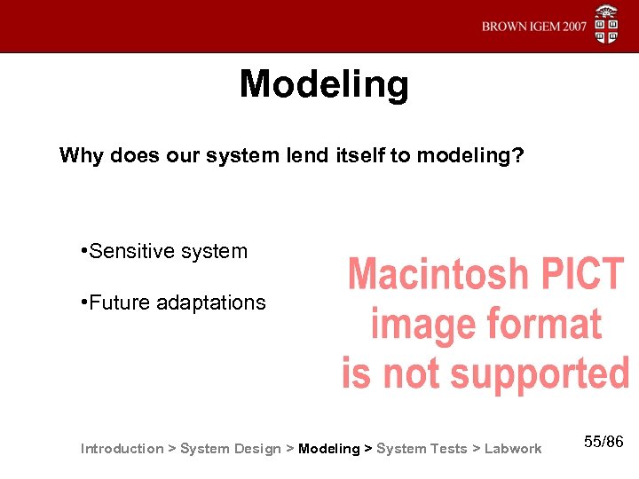 Modeling Why does our system lend itself to modeling? • Sensitive system • Future