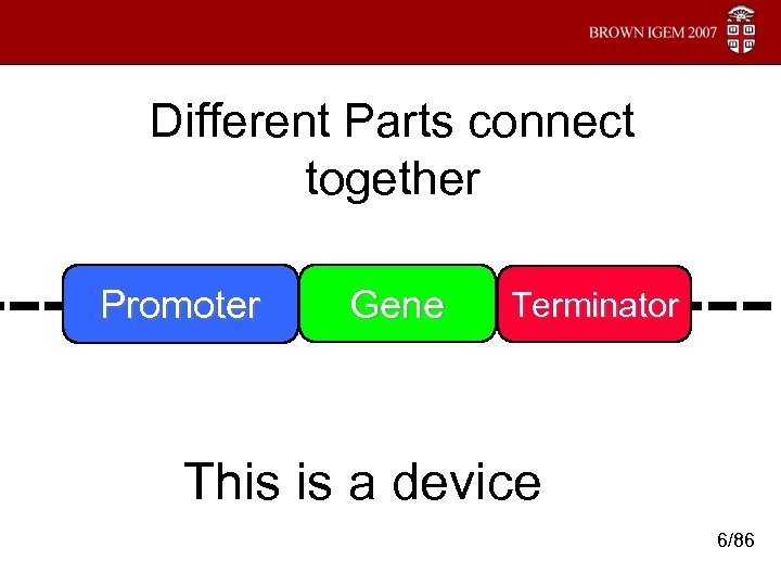 Different Parts connect together ---- Promoter Gene --- Terminator This is a device 6/86