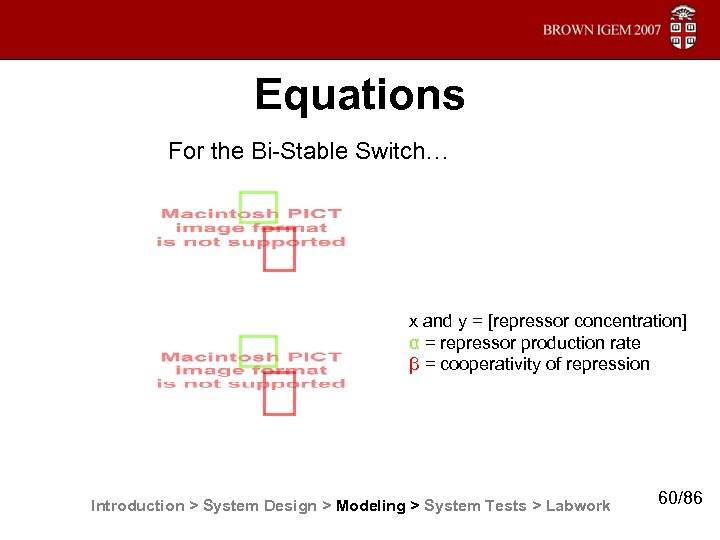 Equations For the Bi-Stable Switch… x and y = [repressor concentration] α = repressor