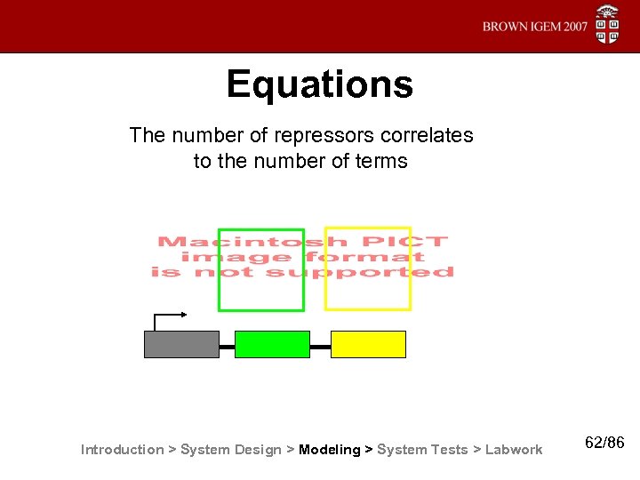 Equations The number of repressors correlates to the number of terms Introduction > System