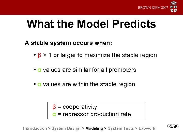 What the Model Predicts A stable system occurs when: • β > 1 or