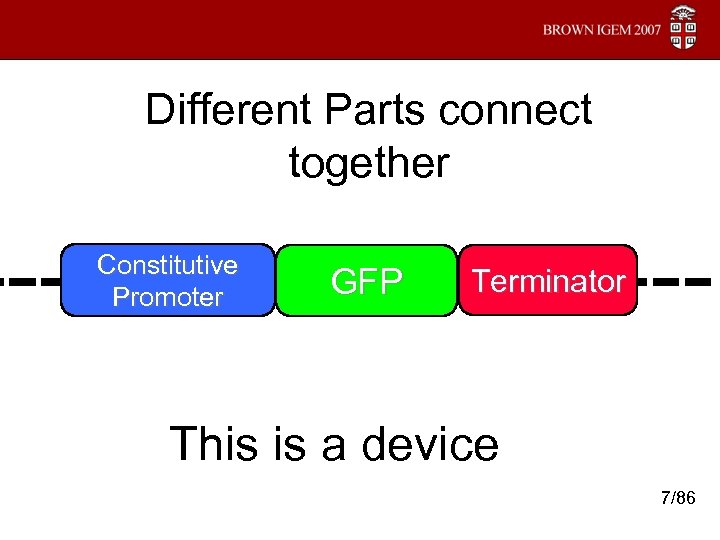 Different Parts connect together ---- Constitutive Promoter GFP --- Terminator This is a device