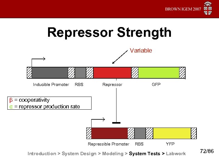Repressor Strength Variable Inducible Promoter RBS Repressor GFP β = cooperativity α = repressor