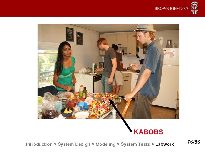 KABOBS Introduction > System Design > Modeling > System Tests > Labwork 76/86 