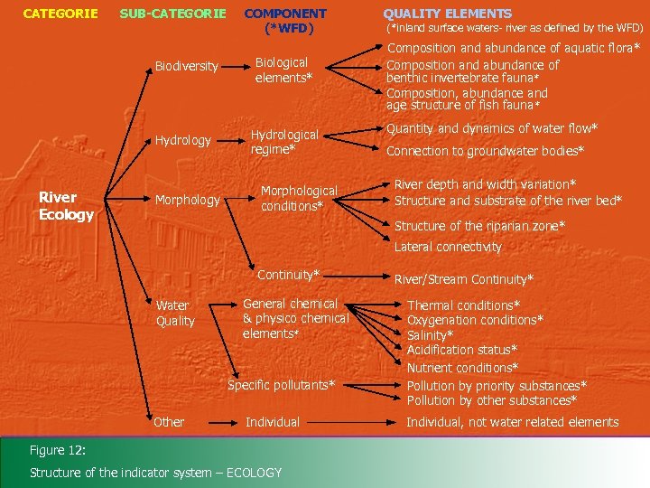 CATEGORIE SUB-CATEGORIE COMPONENT (*WFD) Biological elements* Biodiversity QUALITY ELEMENTS (*inland surface waters- river as