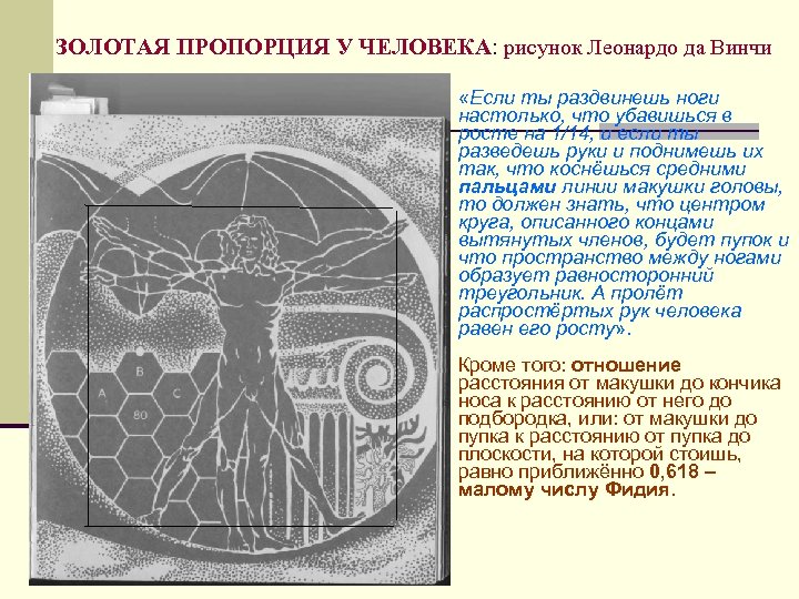 ЗОЛОТАЯ ПРОПОРЦИЯ У ЧЕЛОВЕКА: рисунок Леонардо да Винчи «Если ты раздвинешь ноги настолько, что